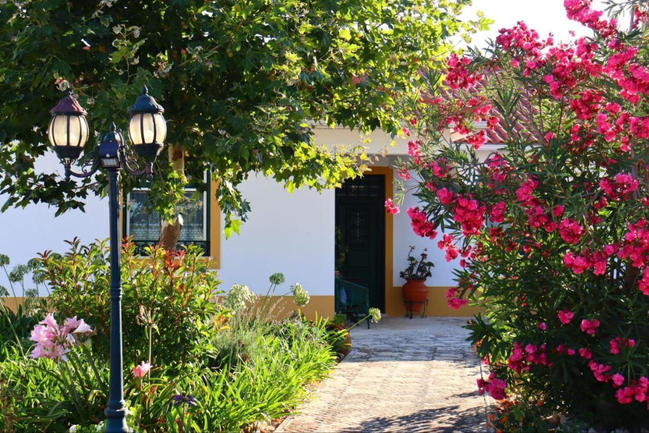 Casa Robusto Konuk evi Salvaterra de Magos Dış mekan fotoğraf